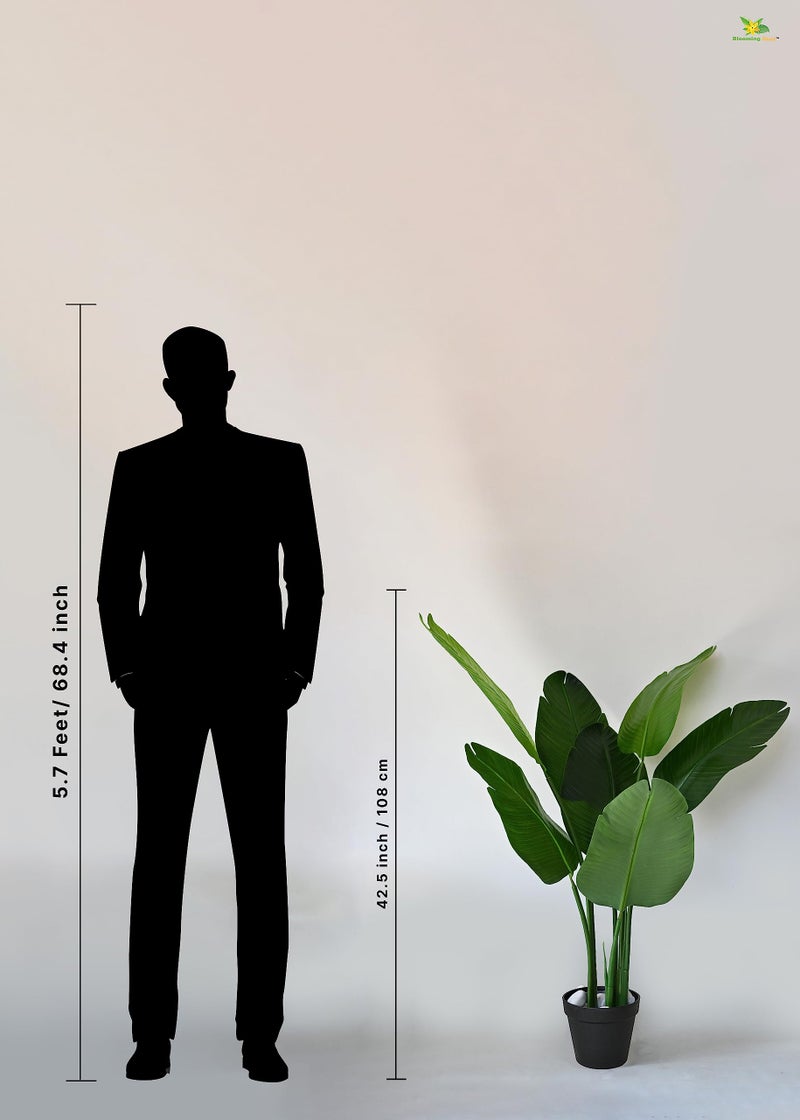 Blooming Floret Artificial Banana Plant with Basic Black Pot | 3 Stems Having 7 Leaves | Big Ornamental Plant for Interior Decor/Home Decor/Office Decor | 108 cm Tall Indoor Tropical Plant | Durable - Image 3