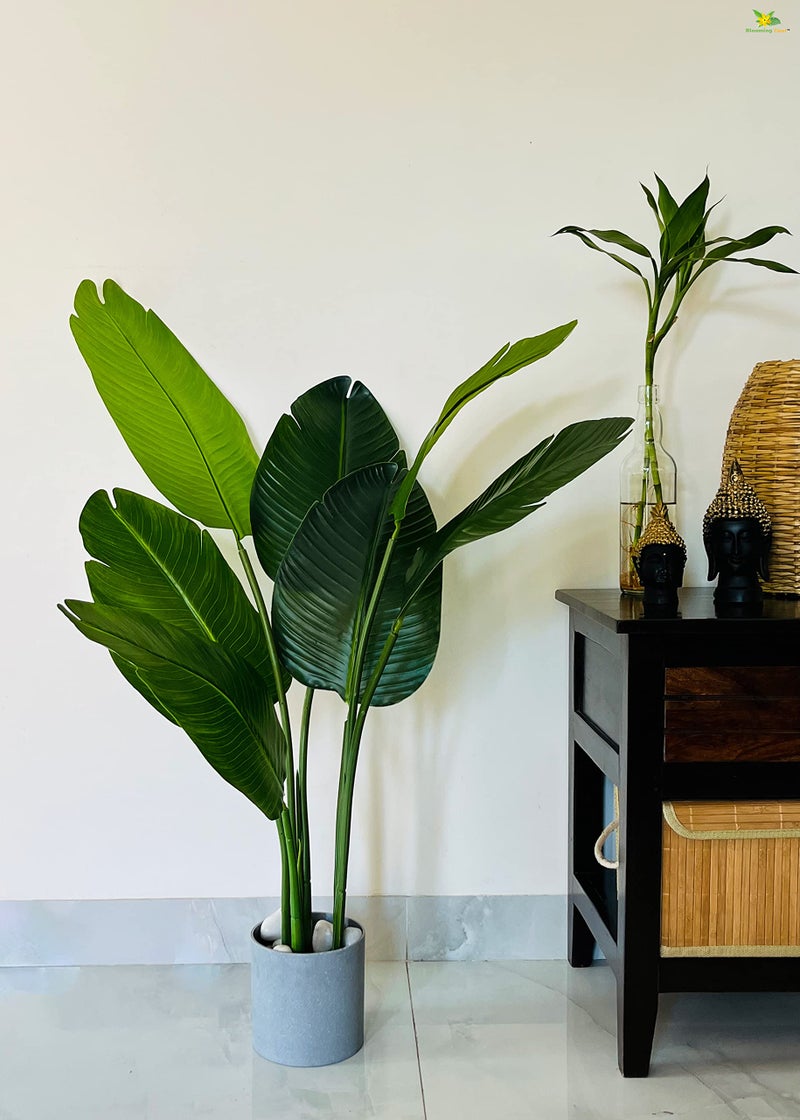 Blooming Floret Artificial Banana Plant with Basic Black Pot | 3 Stems Having 7 Leaves | Big Ornamental Plant for Interior Decor/Home Decor/Office Decor | 108 cm Tall Indoor Tropical Plant | Durable - Image 1
