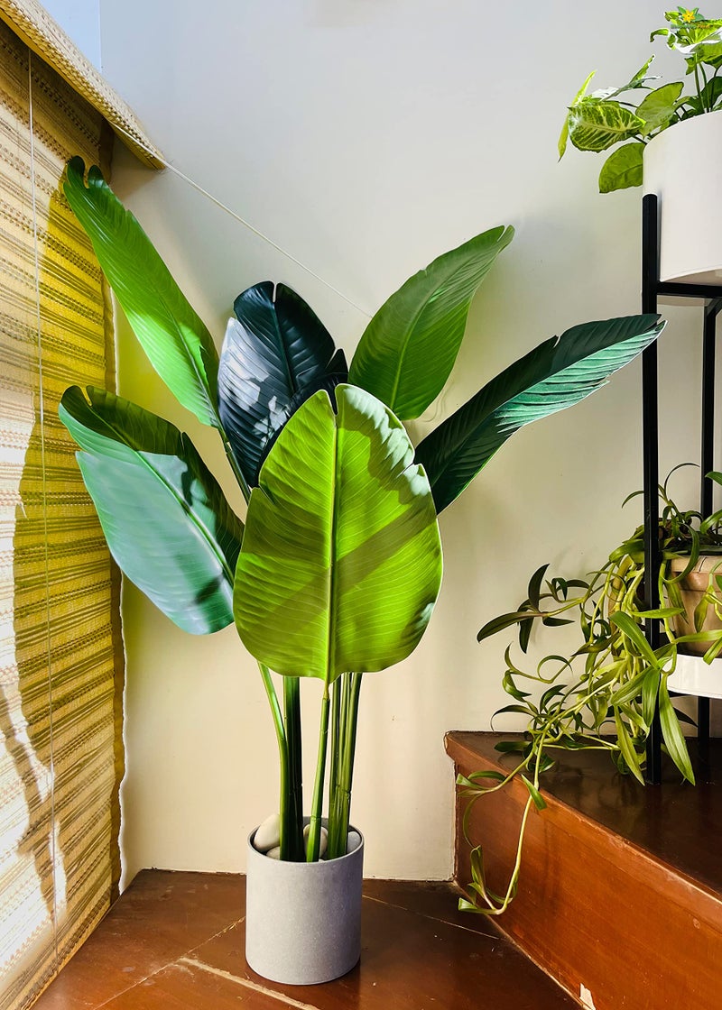 Blooming Floret Artificial Banana Plant with Basic Black Pot | 3 Stems Having 7 Leaves | Big Ornamental Plant for Interior Decor/Home Decor/Office Decor | 108 cm Tall Indoor Tropical Plant | Durable - Image 4