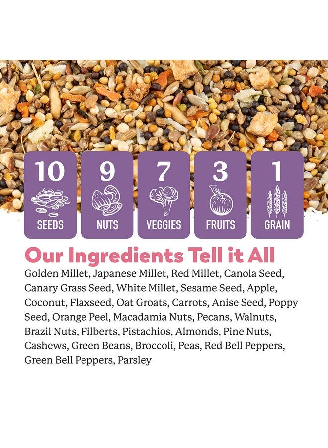 دي آر. هارفي طعام دكتور هارفي الرائع للطيور في المغذي الخارجي والطيور الداخلية - طعام طيور ممتاز مع البذور والمكسرات والفواكه والخضروات للطيور (4 أرطال) - Image 4