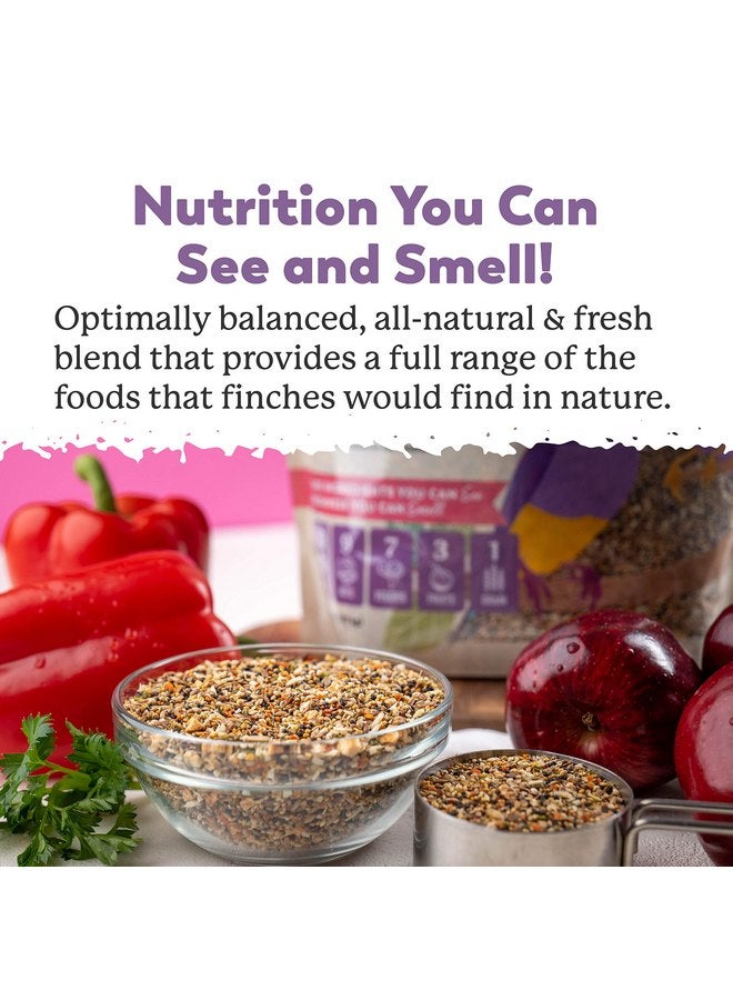 دي آر. هارفي طعام دكتور هارفي الرائع للطيور في المغذي الخارجي والطيور الداخلية - طعام طيور ممتاز مع البذور والمكسرات والفواكه والخضروات للطيور (4 أرطال) - Image 3