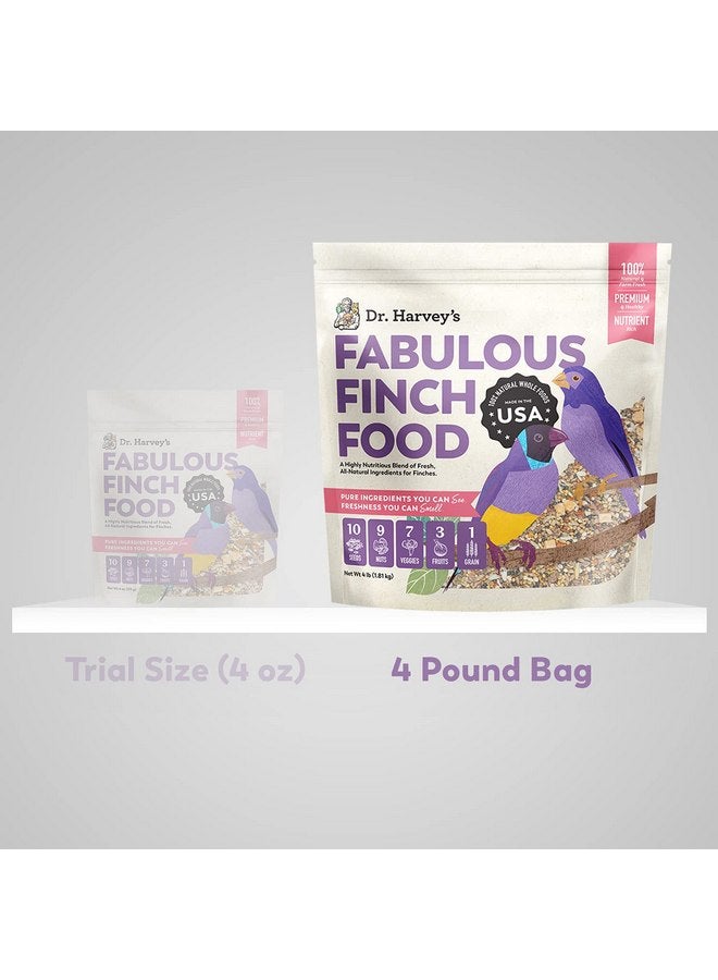دي آر. هارفي طعام دكتور هارفي الرائع للطيور في المغذي الخارجي والطيور الداخلية - طعام طيور ممتاز مع البذور والمكسرات والفواكه والخضروات للطيور (4 أرطال) - Image 2