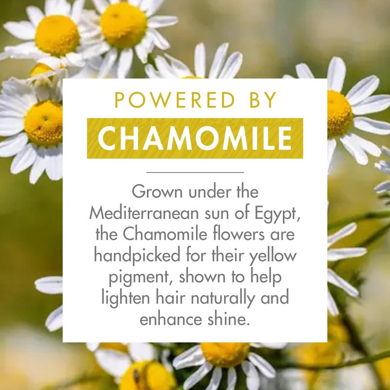 Klorane Brightening Shampoo with Chamomile - Enhances Highlights and Brightens Blonde Hair - Softens and Enhances Shine - Ultra-Gentle Formula - Dermatologist-Tested, Vegan - 13.5 fl. oz. - Image 3