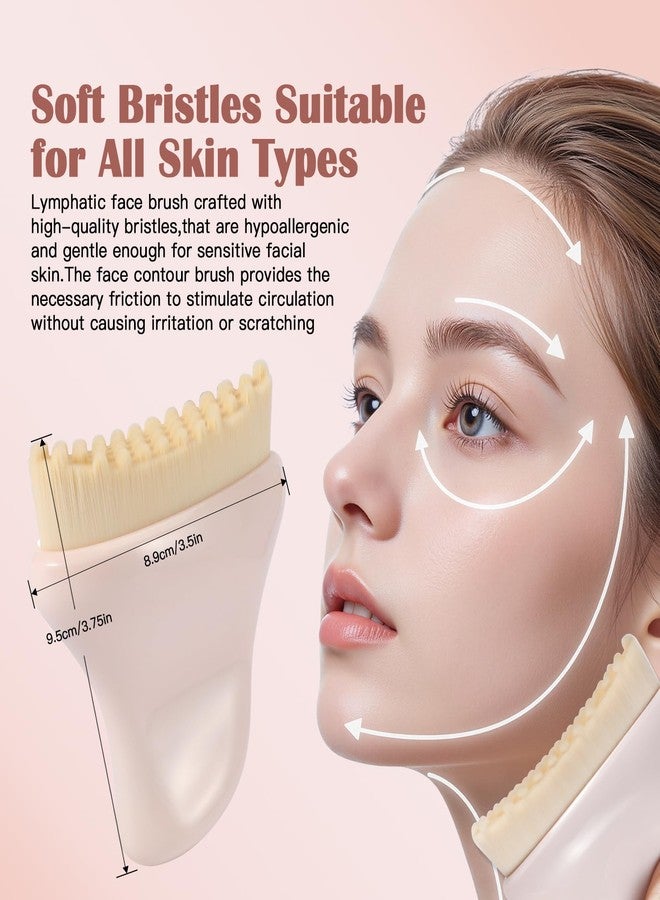 BEAUTYFACTOR Lymphatic Contour Face Brush for Sculpting,Lymphatic Drainage Gua Sha Brush for De-Puffing,Sculpting Jawline,and Promoting Radiant Skin - Image 2