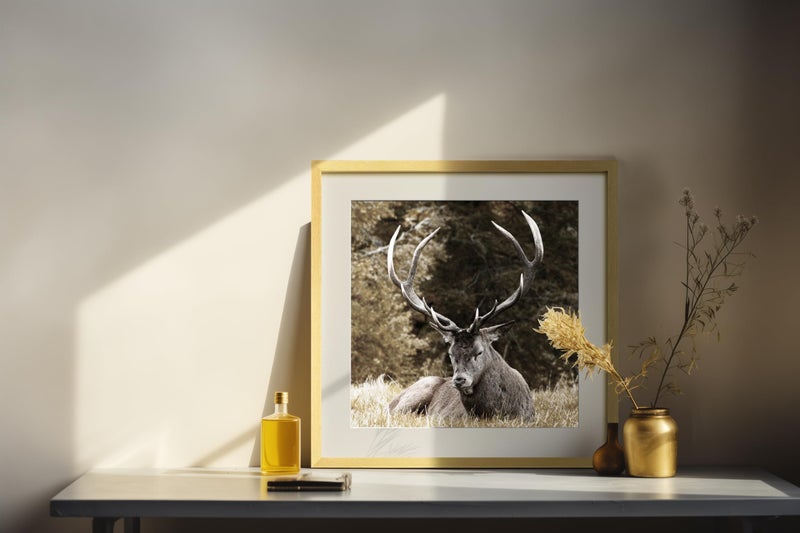 Yaetm 20x20 Gold Picture Frame Matted to 16x16, Set of 3, Thin Large Square Frame for Gallery Wall Display, Hanging Hardware Included (3 Pack, Gold) - Image 5
