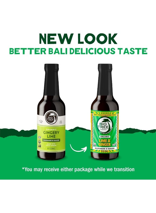 Big Tree Farms Organic Coco Aminos - Liquid Coconut Aminos, Soy-Free Sauce, Low Sodium, Soy Alternative, Gluten Free, Kosher, Marinade & Sauce, Non-GMO - Gingery Lime, 10 Fl Oz (Pack of 1) - Image 3