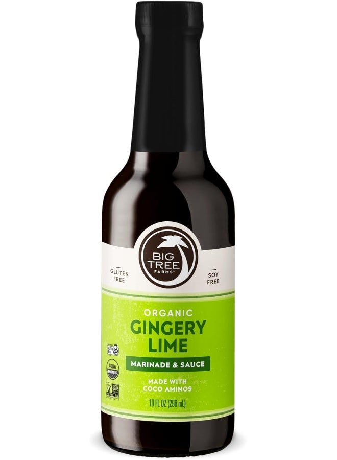 Big Tree Farms Organic Coco Aminos - Liquid Coconut Aminos, Soy-Free Sauce, Low Sodium, Soy Alternative, Gluten Free, Kosher, Marinade & Sauce, Non-GMO - Gingery Lime, 10 Fl Oz (Pack of 1) - Image 1