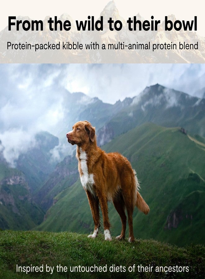 Open Farm, RawMix Ancient Grains Dry Dog Food, Protein-Packed Kibble Coated in Bone Broth with Freeze Dried Raw Chunks, Lamb Venison Bison, Great Plains Recipe, 3.5lb Bag - Image 4
