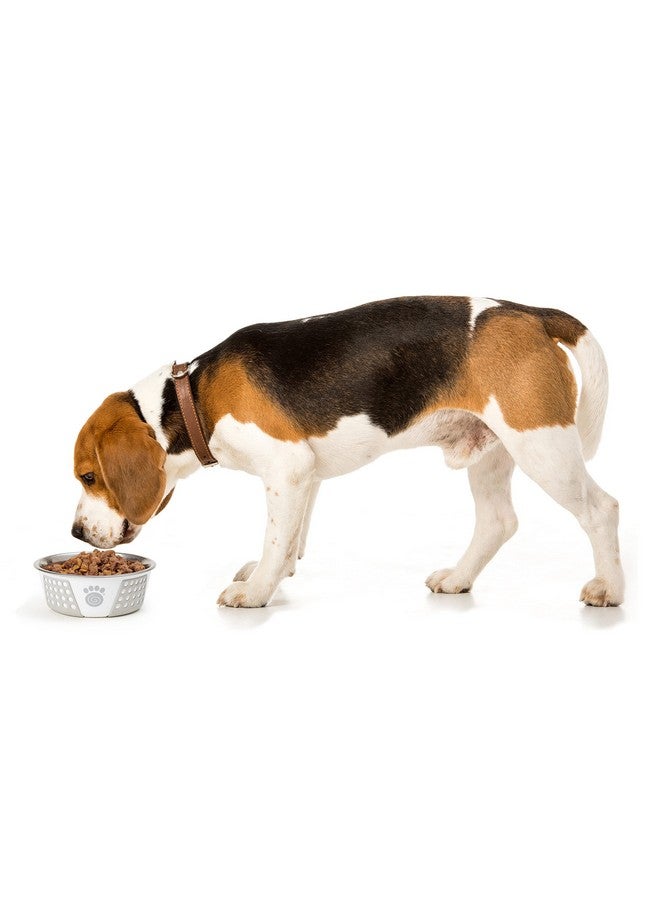 PetRageous 13095 Fiji Stainless Steel NonSlip Dishwasher Safe Dog Bowl 3.75Cup Capacity 6.75Inch Diameter 2.5Inch Tall For Medium And Large Dogs, White And Grey - Image 4