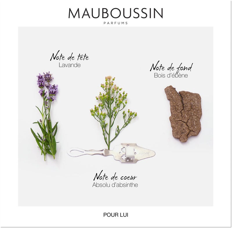 MAUBOUSSIN Mauboussin - Pour Lui 100ml (3.3 Fl Oz) - Eau de Parfum for Men - Fern & Modern Scents  - Image 4