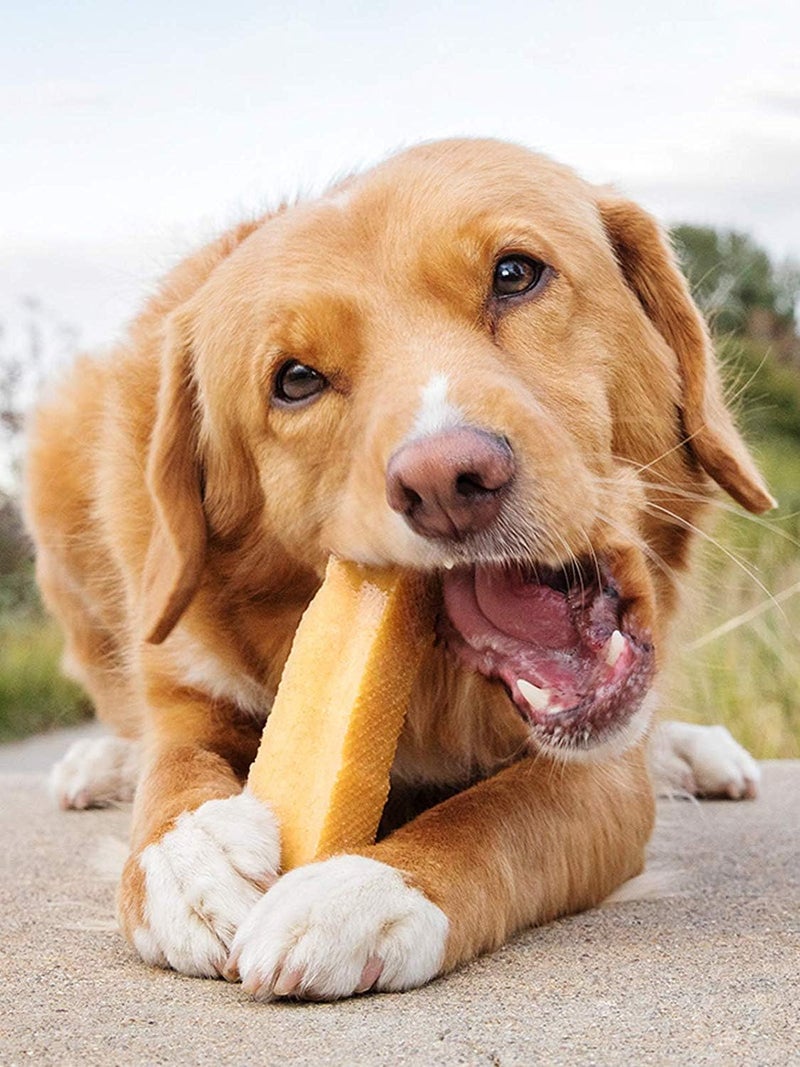 Chewers Mountain Dog Chew, Natural Himalayan Yak Milk Long Lasting Protein Rich Dog Treat, Labrador Reteriver & Large Breed Dogs, 150 GMS - Image 5