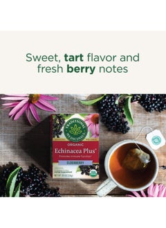 Traditional Medicinals Traditional Medicinals, Organic Echinacea Plus, Elderberry, Caffeine Free, 16 Wrapped Tea Bags, 0.85 oz (24 g)  - Image 5