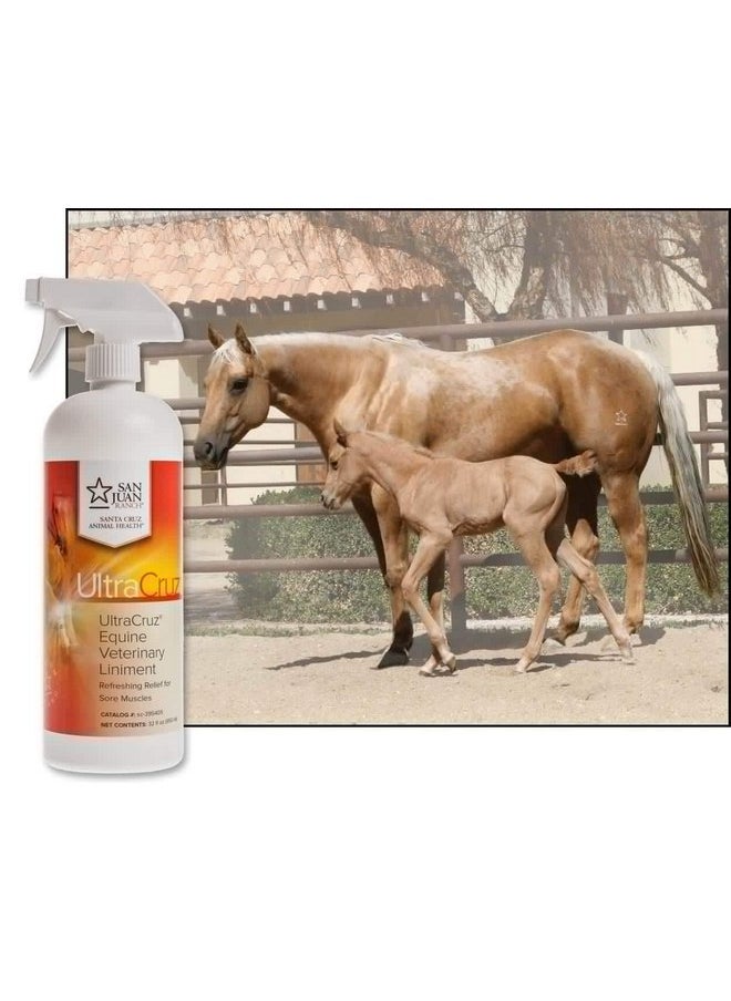 UltraCruz UltraCruz Veterinary Liniment Spray for Horses, 32 oz  - Image 3