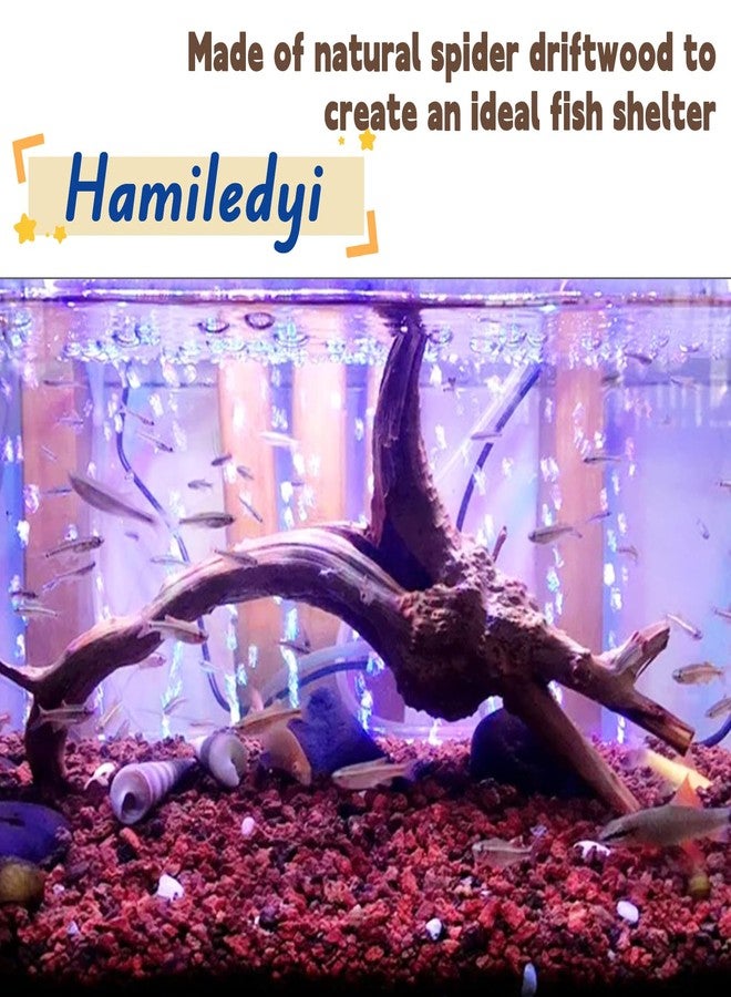 Hamiledyi 4PCS Driftwood for Aquarium 8-10in Natural Spider Wood Reptile Branches Fish Tank Log Ornament Aquarium Trunk Decoration - Image 3