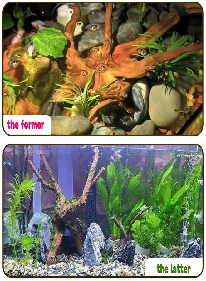 Hamiledyi 4PCS Driftwood for Aquarium 8-10in Natural Spider Wood Reptile Branches Fish Tank Log Ornament Aquarium Trunk Decoration - Image 5