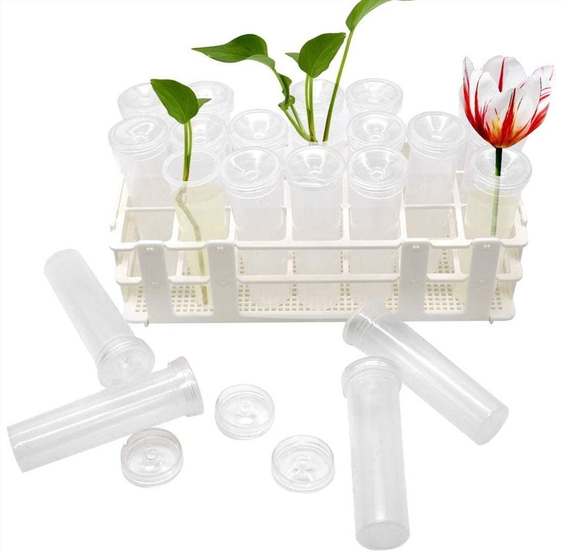 Tirifer 21 Pack 60ml Large Floral Tubes with Rack Holder for Milkweed Cuttings Raising Caterpillars Monarchs Butterflies Flower Arrangements