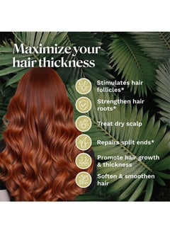CARVENCHY Hair Oil with Rosemary for Hair Growth - 100% Pure Organic Batana Oil from Honduras - Reduce Hair Loss and Detox Your Scalp (30 mL)  - Image 2