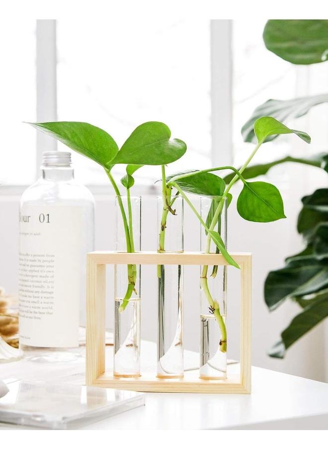 yongsheng Wall Hanging Plant Propagation Glass Planter Station 3 Tubes with Wood Stand Flower Vase Desktop  Beige  - Image 3