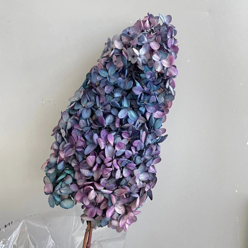 Bluejw Immortal Dried Flower Pagoda Hydrangea with Stem – Natural Preserved Dried Plants for Wedding Bouquets, Centerpieces & Home Decor - Image 5
