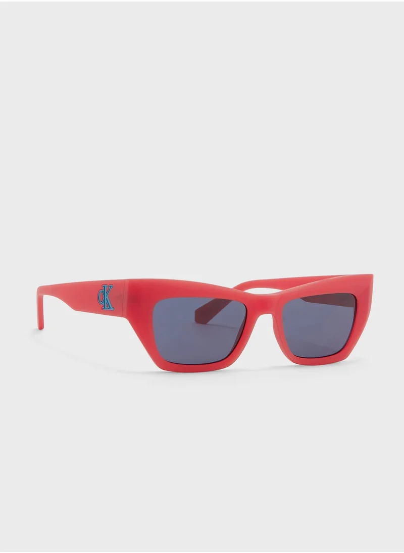 Calvin Klein Jeans Butterfly Sunglasses