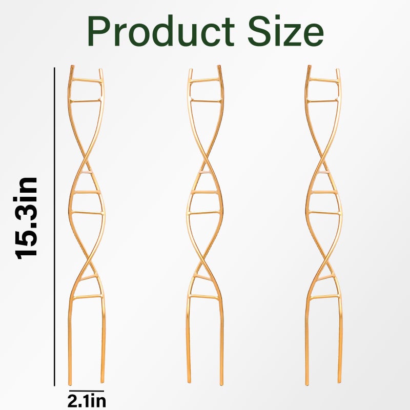 GOOOXIM Indoor Plant Trellis for Potted Plants - Durable Metal Climbing Trellis with Unique DNA Spiral Design for Vining Plants, Easy Installation for Indoor & Outdoor Use - Image 2