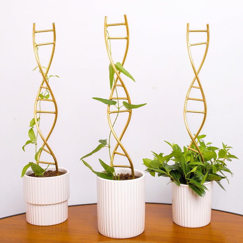 GOOOXIM Indoor Plant Trellis for Potted Plants - Durable Metal Climbing Trellis with Unique DNA Spiral Design for Vining Plants, Easy Installation for Indoor & Outdoor Use - Image 1