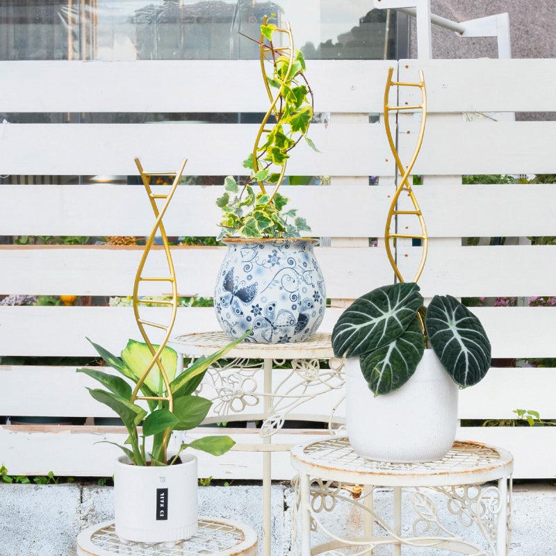 GOOOXIM Indoor Plant Trellis for Potted Plants - Durable Metal Climbing Trellis with Unique DNA Spiral Design for Vining Plants, Easy Installation for Indoor & Outdoor Use - Image 5