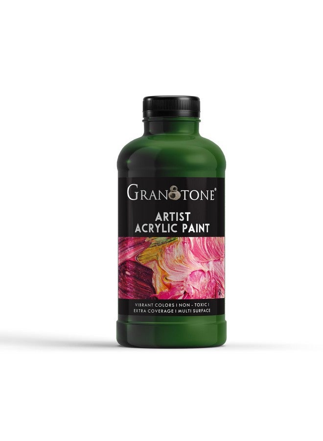 Granotone لون أكريليك GRANOTONE، 500 مل، طلاء فني وحرفي، طلاء DIY، صبغة غنية، طلاء غير متشقق للقماش والخشب والجلد والفخار والمعادن (SAP GREEN) - Image 1