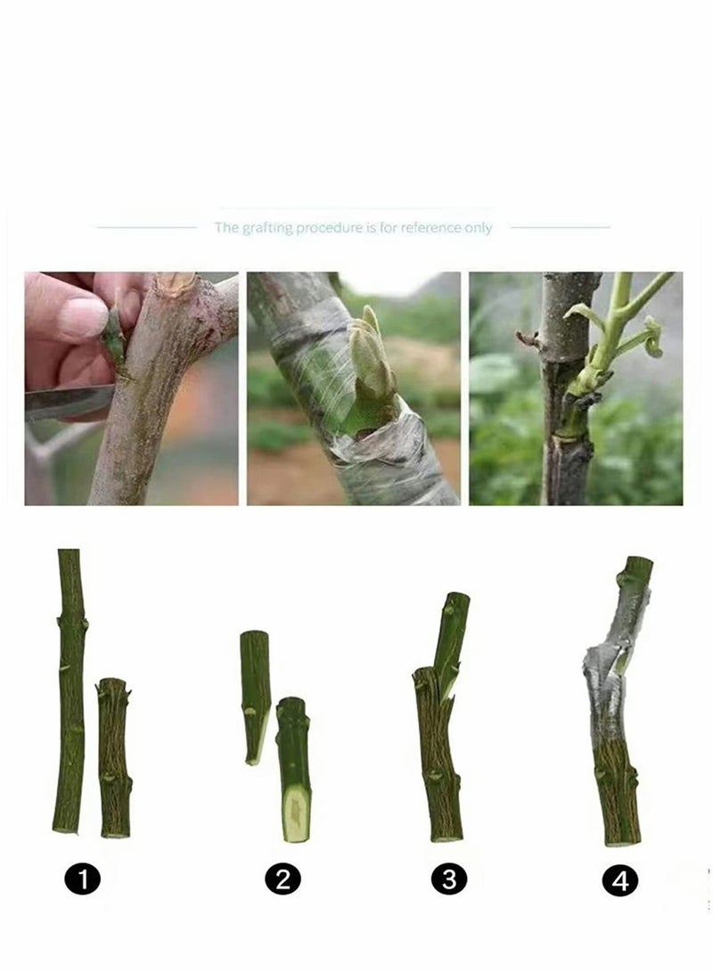 Garden Grafting Tape Plant Repair Tapes Moisture Barrier PE Stretchable Clear Film for Fruit, Floral, Tree and Plants Ploy Budding Graft Tool Nursery Tape, 4Pcs, Green