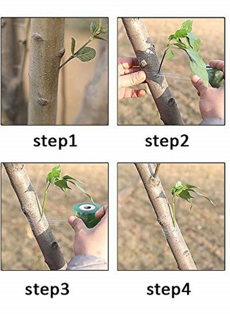 Garden Grafting Tape Plant Repair Tapes Moisture Barrier PE Stretchable Clear Film for Fruit, Floral, Tree and Plants Ploy Budding Graft Tool Nursery Tape, 4Pcs, Green