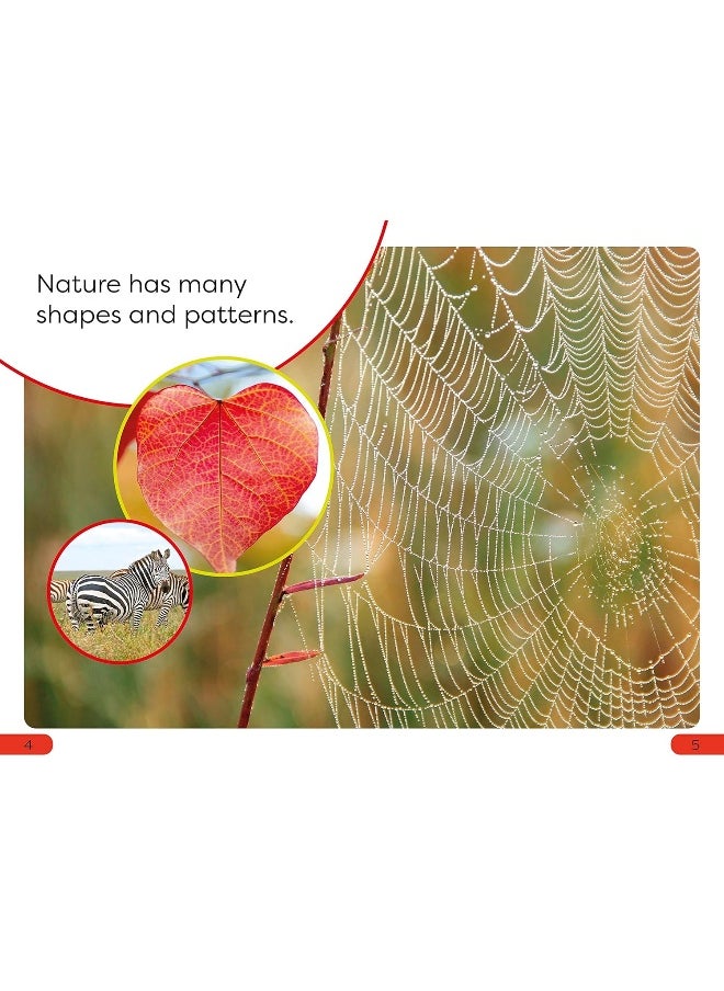 null - DK Super Readers Pre-Level Shapes and Patterns in Nature - Image 1