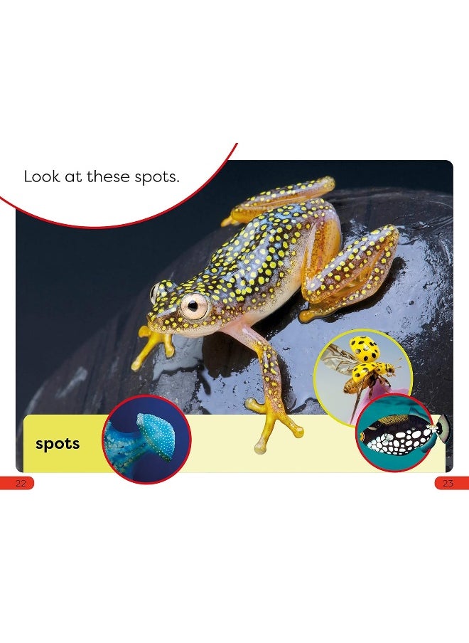 null - DK Super Readers Pre-Level Shapes and Patterns in Nature - Image 1