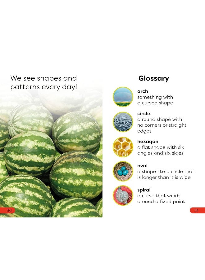 null - DK Super Readers Pre-Level Shapes and Patterns in Nature - Image 1