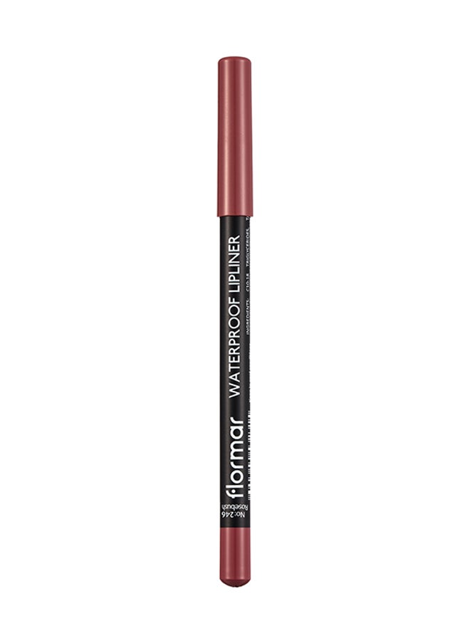 flormar Waterproof Lipliner Pcl-246 Rosebush - Image 2