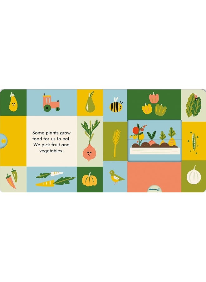 Ladybird Magic Windows: Growing - Image 5