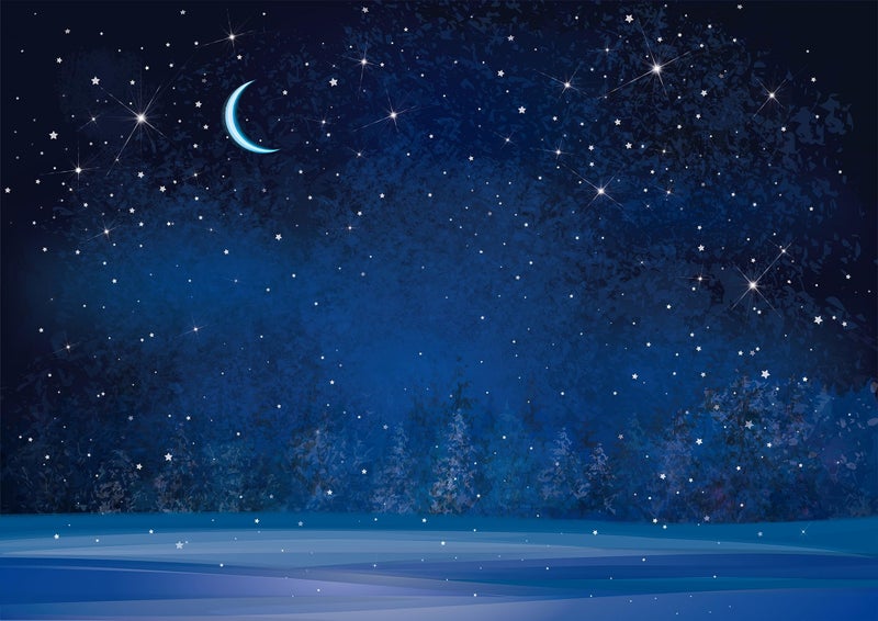 BELECO 7x5ft Fabric Winter Wonderland Night Snowfall Backdrop Blue Starry Sky Moon Stars Snowflakes Fir Trees Pine Forest Snow Scene Background Christmas New Year Party Decoration Photo Studio Props - Image 2