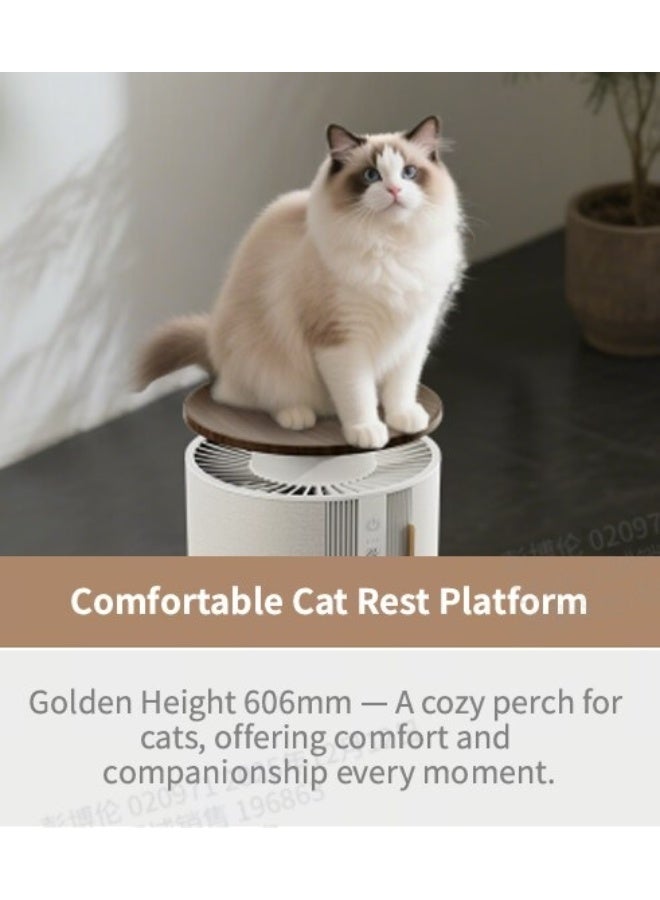 MOVA Puris P10 Pet Air Purifier With Dual-Filtration System Offers Long-Lasting Allergen Protection - Image 2