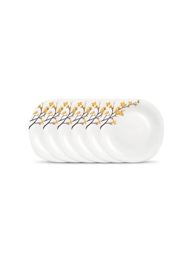 La Opala La Opala Diva Quadra Collection Opal Glass Crockery | Quarter Plate Set of 6 Summertide | Square Side Plate for Snacking & Gifting | Microwave Safe | 100% Vegetarian | Extra Strong | Light & White  - Image 1
