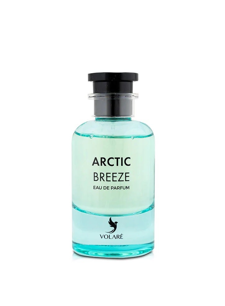 VOLARE Arctic Breeze Eau de Parfum for Men -100 ml  - Image 2