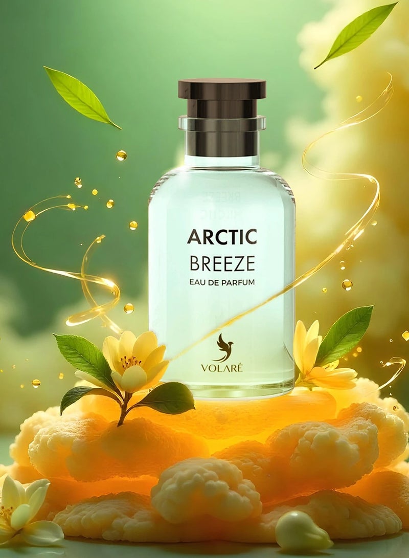 VOLARE Arctic Breeze Eau de Parfum for Men -100 ml  - Image 3