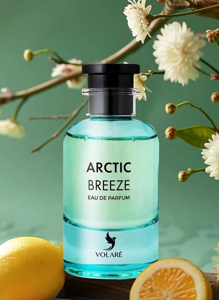 VOLARE Arctic Breeze Eau de Parfum for Men -100 ml  - Image 4