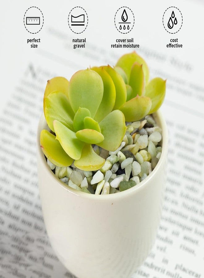FANTIAN حصى اليشم من فانتيان للنباتات الداخلية، 1/4 بوصة (3-6 مم)، حصى أخضر مصقول، صخور صغيرة للنباتات، العصاريات، الصبار، المزهريات، التيراريوم - Image 4