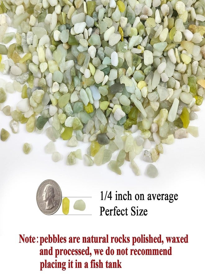 FANTIAN حصى اليشم من فانتيان للنباتات الداخلية، 1/4 بوصة (3-6 مم)، حصى أخضر مصقول، صخور صغيرة للنباتات، العصاريات، الصبار، المزهريات، التيراريوم - Image 2