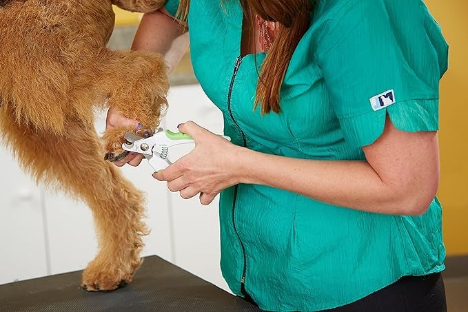 Andis Animal Nail Cutter for Small Breeds, Stainless Steel Blades with Sharp Efficiency, Designed for Repeated Use, Recommended by Pet Trainers - Medium Size, White/Green - Image 4