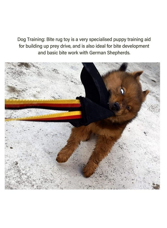 فوكتي فوكيتي، ممسحة عض جلدية لتدريب الكلاب، ممسحة عض تفاعلية للجراء بمقبض، لعبة شد الحبل للكلاب، لعبة تدريب على العض، لعبة جرو لتنمية غريزة الفريسة، لعبة شد الحبل - Image 3