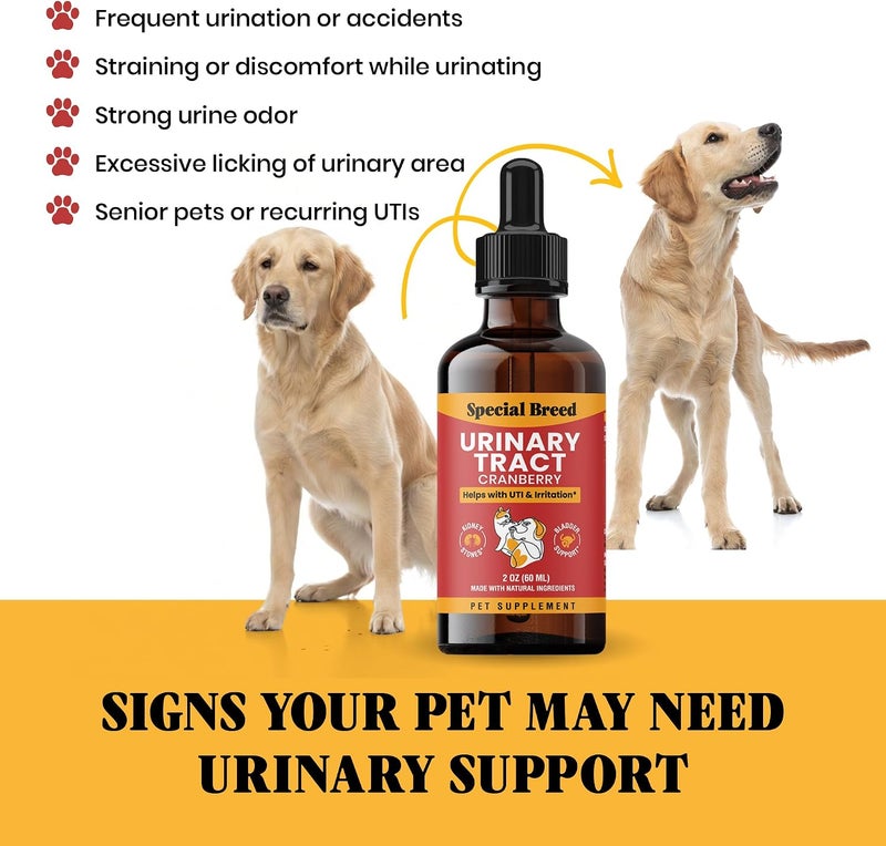 Special Breed علاج عدوى المسالك البولية للقطط والكلاب - مكمل التوت البري لعدوى المسالك البولية، دعم الكلى والمثانة، 2 أونصة - Image 4