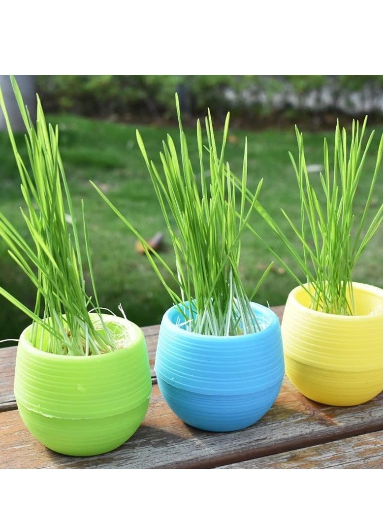 SYOSI 30 Pack Mini Succulent Pots 3 Inch Plastic Seed Starter Small Cute with Drainage for Indoor and Outdoor Plants Home and Office Decor Flower Cactus Faux Containers  - Image 3