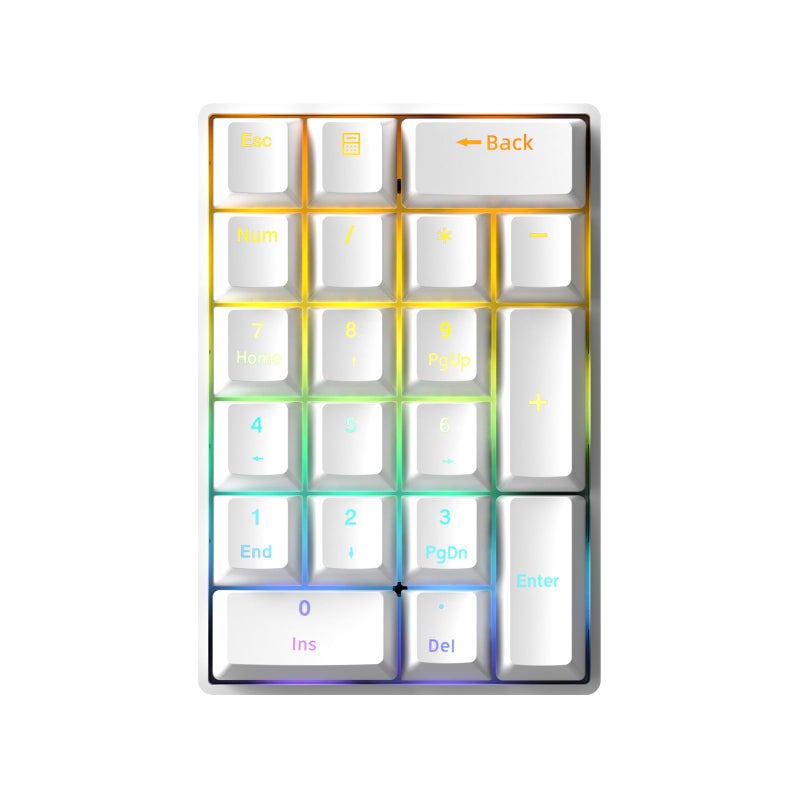 TISHLED Wired Mechanical Numpad Rainbow LED Backlit 20-Key Number Pad Brown Switches Shine Through Keycaps Detachable Cable Numeric Keyboard for PC/Laptop/Win/Mac, White - Image 1