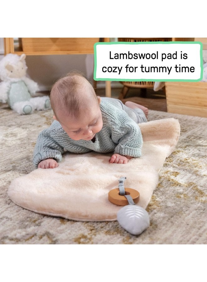 إنجنيونتي سجادة بديلة من صوف الحملان من Ingenuity Every Season - متوافقة مع جميع منتجات Ingenuity Lambswool الأخرى، سجادة من صوف الحملان الطبيعي قابلة للعكس - Image 3