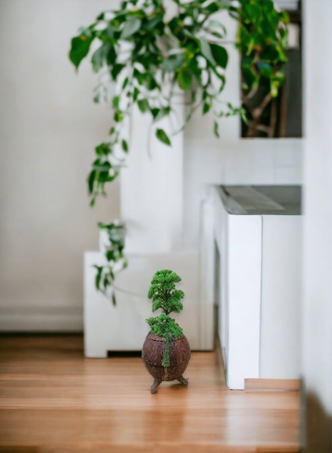 ارك ديكور مزهرية خشبية من جوز الهند - Image 2